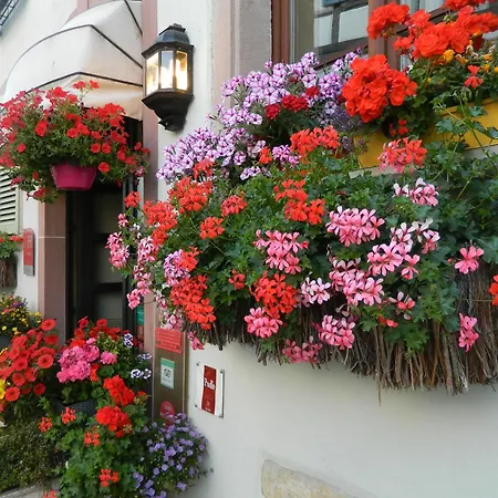 L'hostellerie Du Chateau 3* Eguisheim