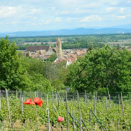 فندق L'hostellerie Du Chateau إِجويشا