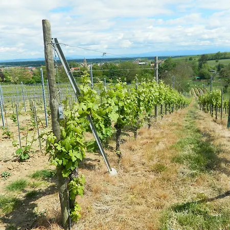 L'hostellerie Du Chateau 3*