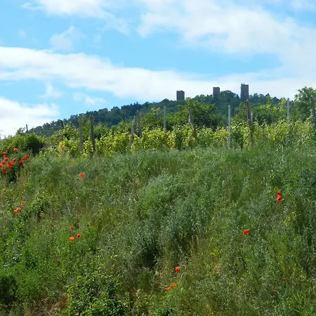 L'hostellerie Du Chateau 3*