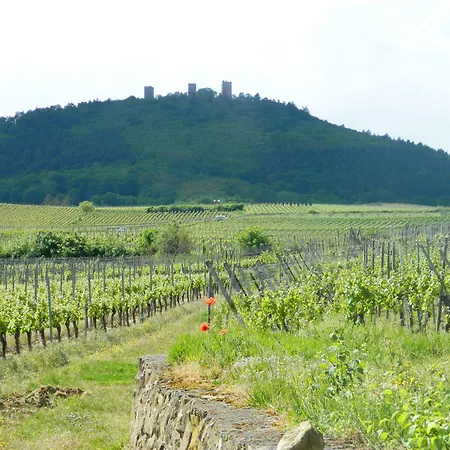 L'hostellerie Du Chateau Szálloda