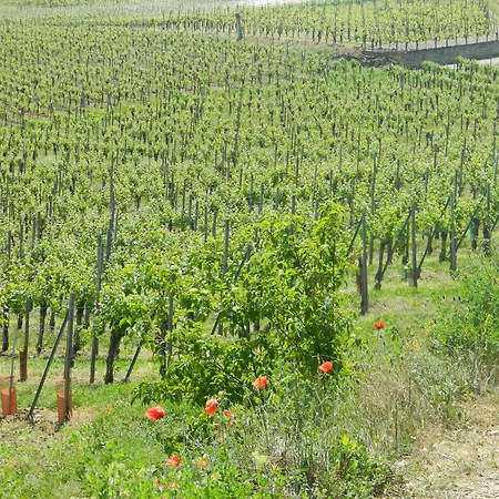 L'hostellerie Du Chateau 3*