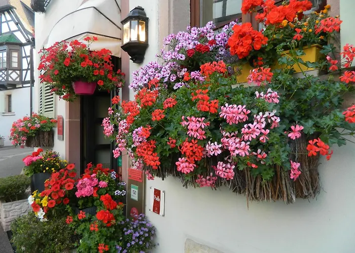 L'hostellerie Du Chateau 3* Eguisheim