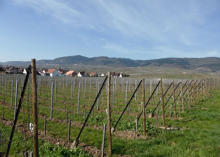 L'hostellerie Du Chateau Hotel 3*