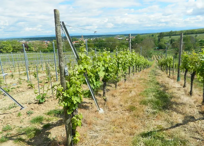 L'hostellerie Du Chateau 3*