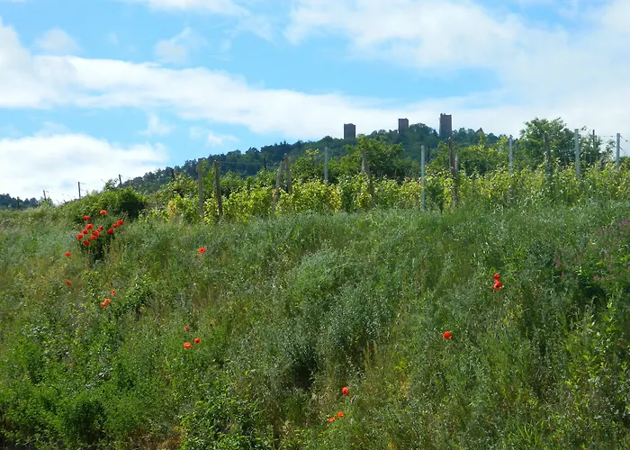 L'hostellerie Du Chateau 3*
