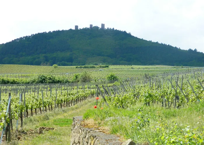 L'hostellerie Du Chateau Hotel