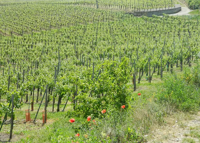 L'hostellerie Du Chateau 3*