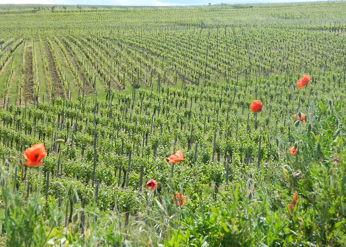 L'hostellerie Du Chateau Hotel